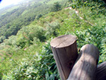 コッタロ湿原