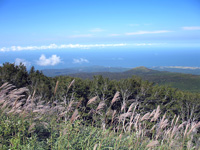 鳥海山5合目手前からの日本海！